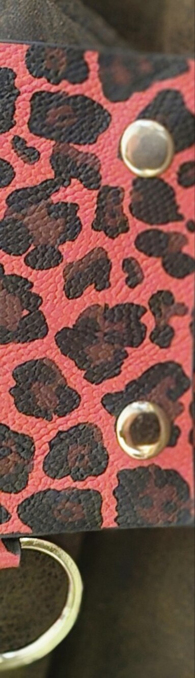 Red Leopard Print Women's Card Holder Keychain with Gold Accent